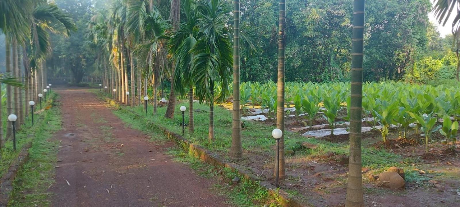 Red Roof Farmhouse Villa Chiplun Bagian luar foto