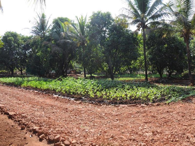 Red Roof Farmhouse Villa Chiplun Bagian luar foto